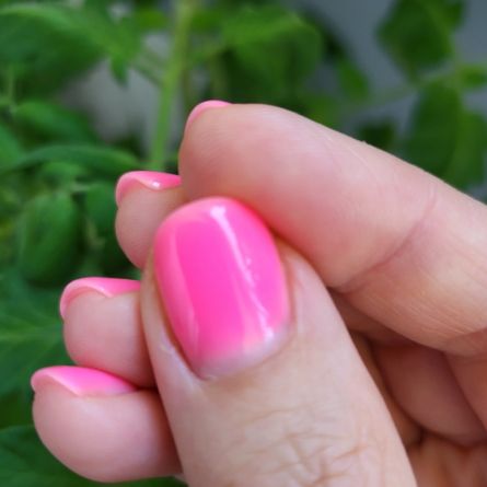 Manikīrs ar gellakas pārklājumu (PRODUKTA TESTS)