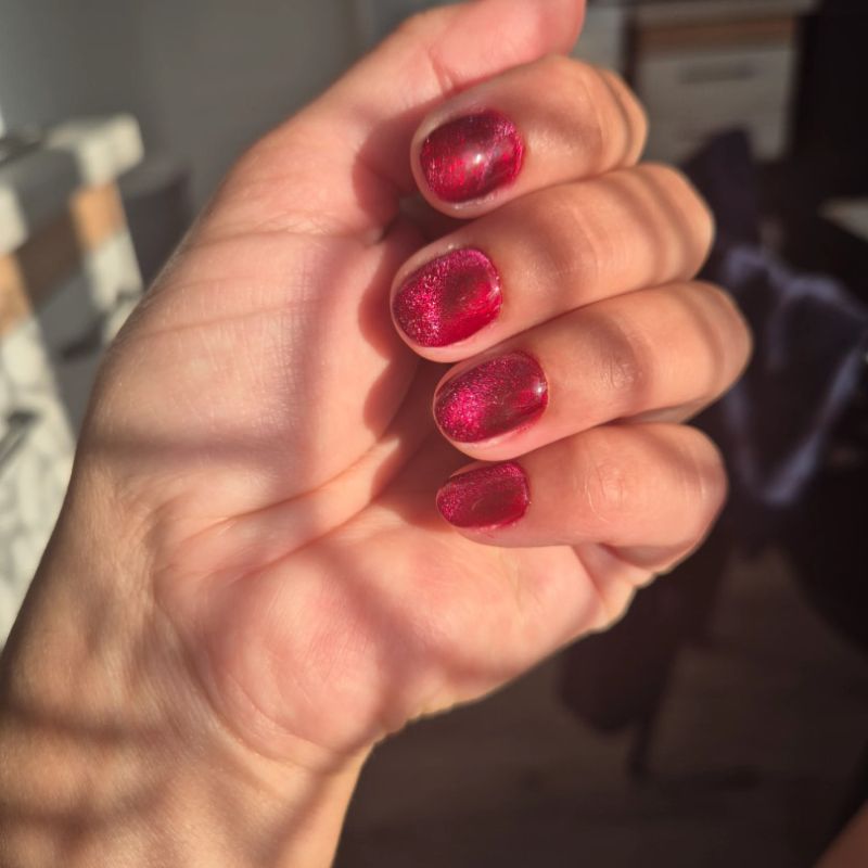 Manikīrs ar gellakas pārklājumu + NAILS Magnetic dizaina pārklājums