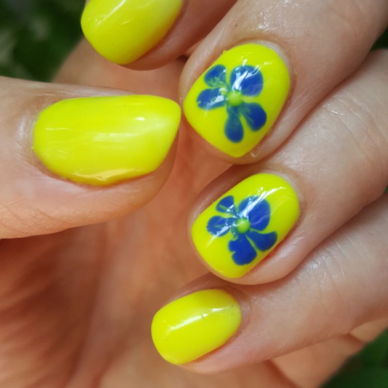 Manikīrs ar gellakas pārklājumu + "blooming" dizains